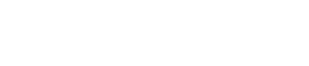 NS Idustrial Logo